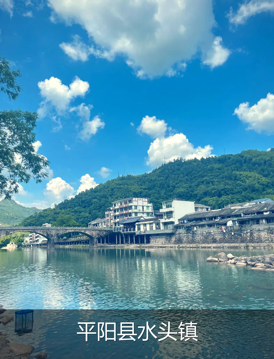平阳县水头镇